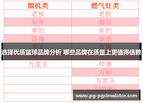 选择优质篮球品牌分析 哪些品牌在质量上更值得信赖