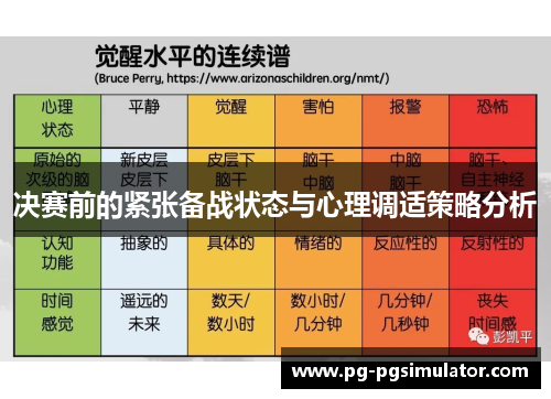 决赛前的紧张备战状态与心理调适策略分析