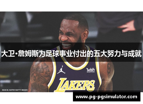 大卫·詹姆斯为足球事业付出的五大努力与成就