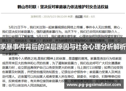 家暴事件背后的深层原因与社会心理分析解析