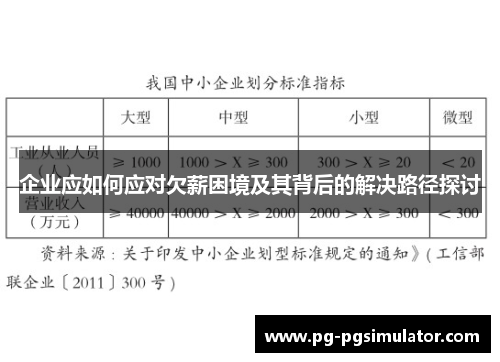 企业应如何应对欠薪困境及其背后的解决路径探讨