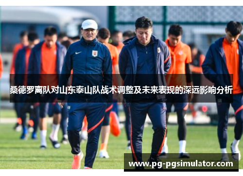 桑德罗离队对山东泰山队战术调整及未来表现的深远影响分析
