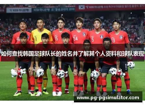 如何查找韩国足球队长的姓名并了解其个人资料和球队表现